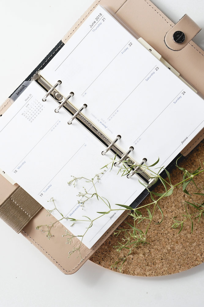 asesoría emprendedora sandra de haro community manager