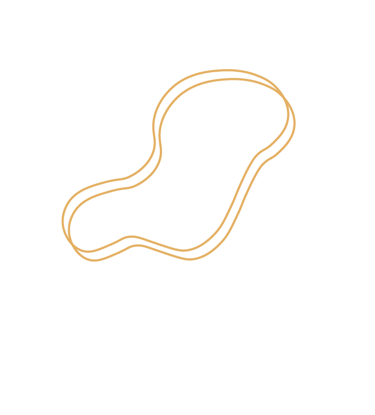 masterclass sandra de haro